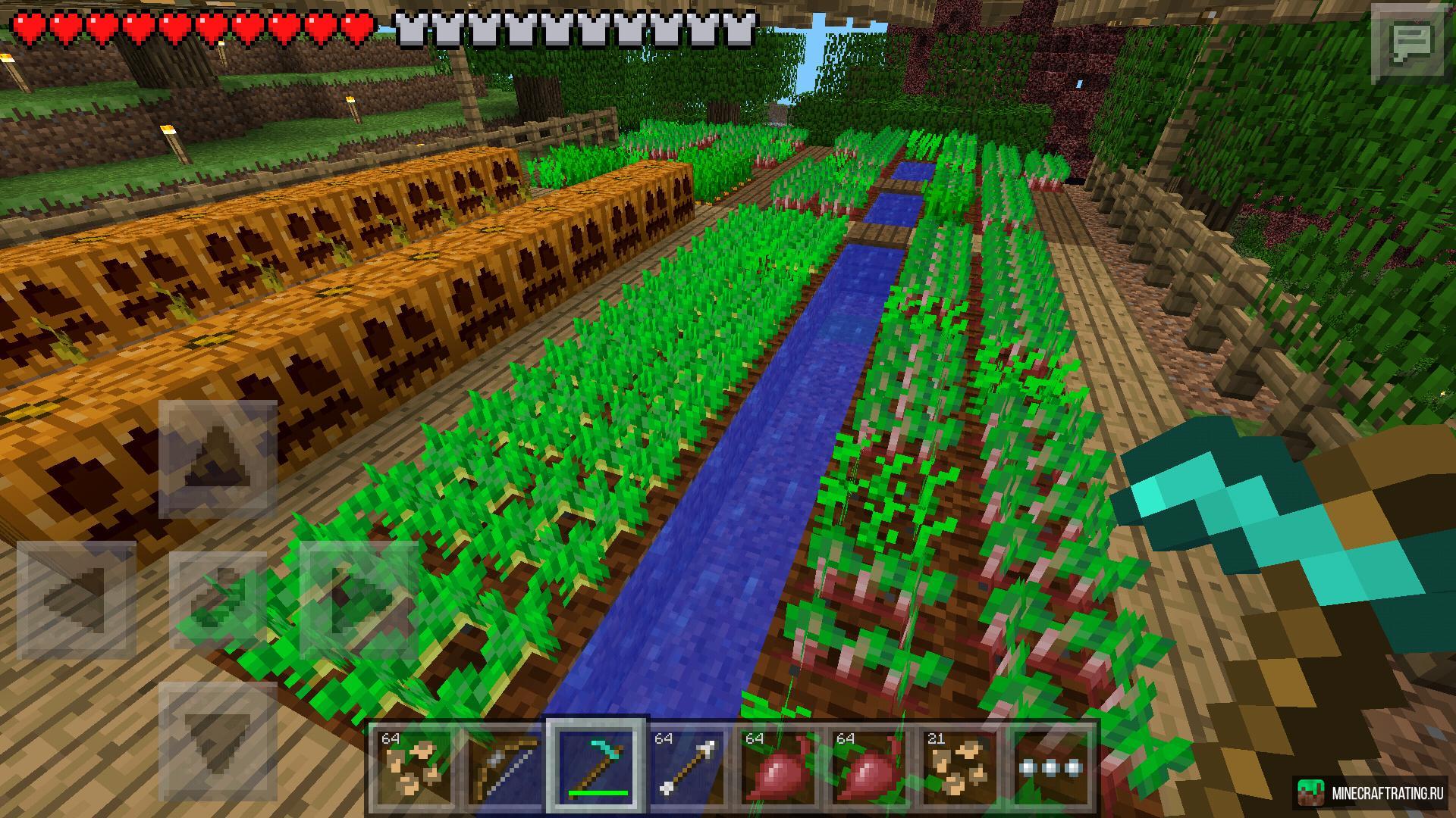 Minecraft: пшеничная, свекольная, морковная и картофельная фермы