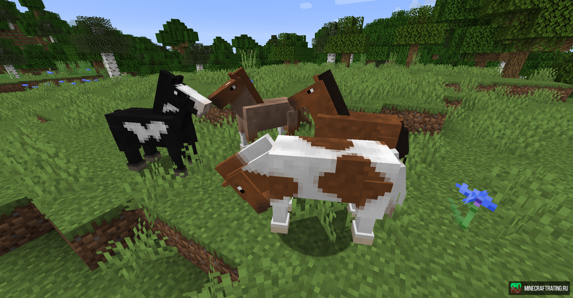 Как приручить лошадь в Minecraft | manikyrsha.ru