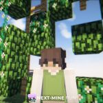 Проект «NEXT-MINE.FUN НОВЫЙ ЭТАП»