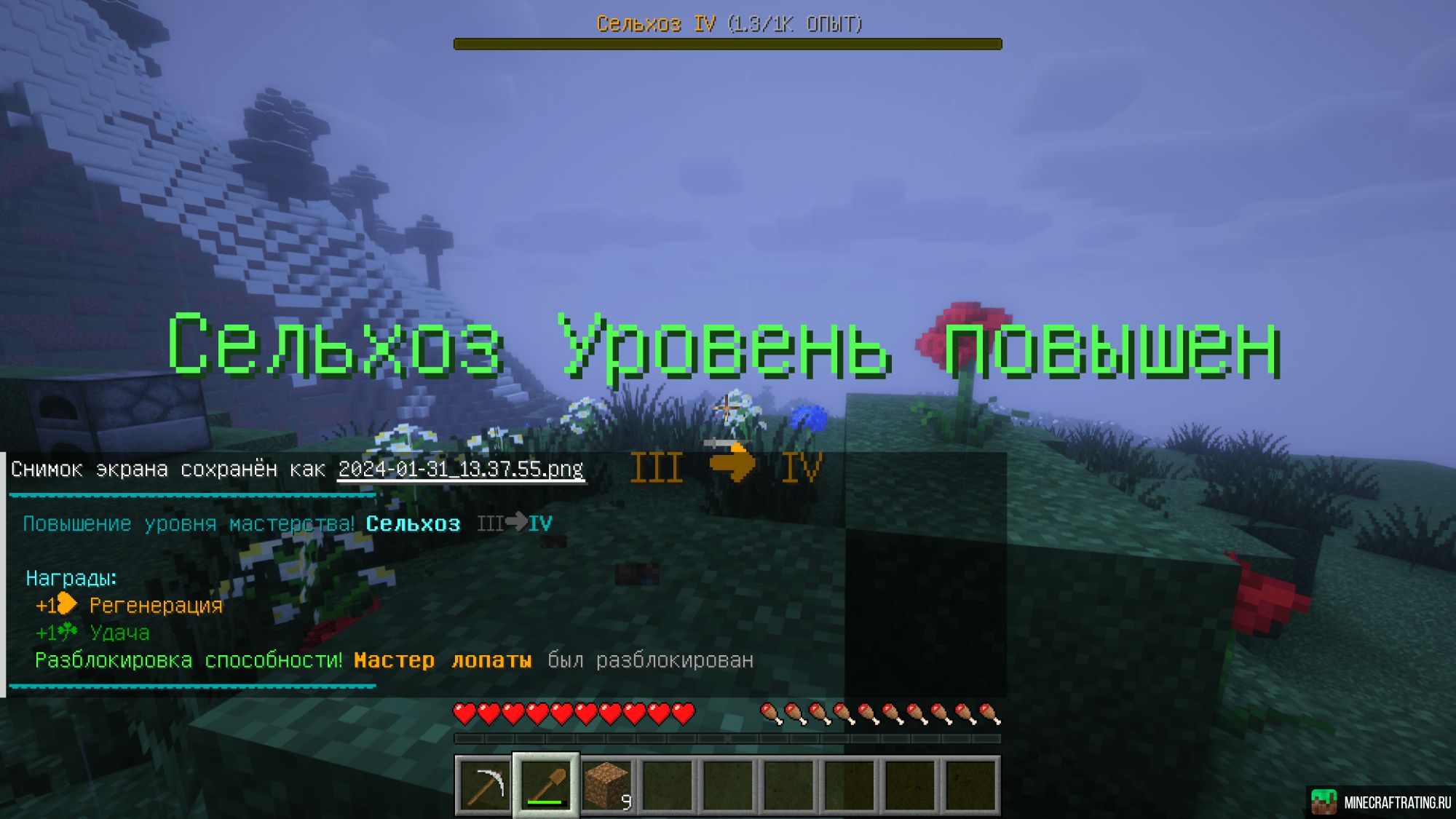 Videman сервер Майнкрафт — мониторинг, ip адреса, топ серверов Minecraft