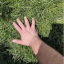 иконка сервера
